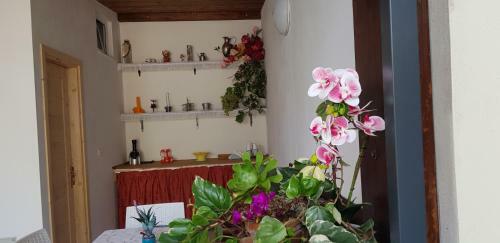 Agroturismo Tenutaverde