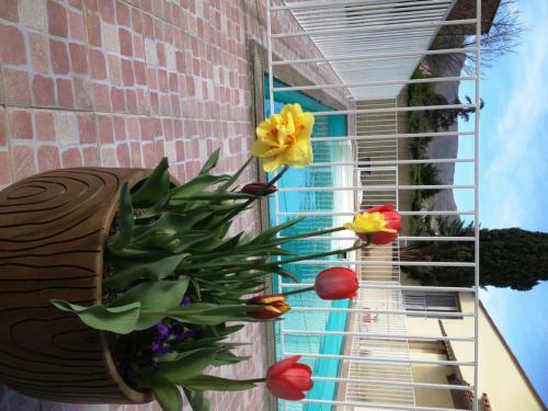 Bed & Breakfast L'ecrin D'osely