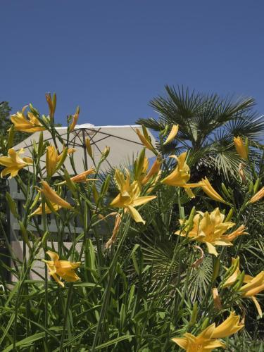 Bed & Breakfast La B�gude Du Pascouren
