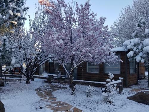 West Winds Lodge And Condos
