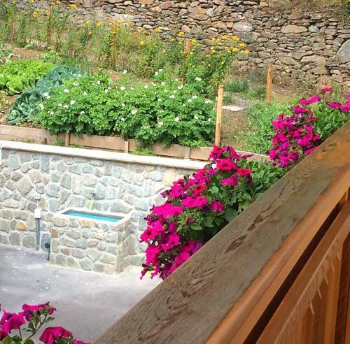 B&B La Marmotta