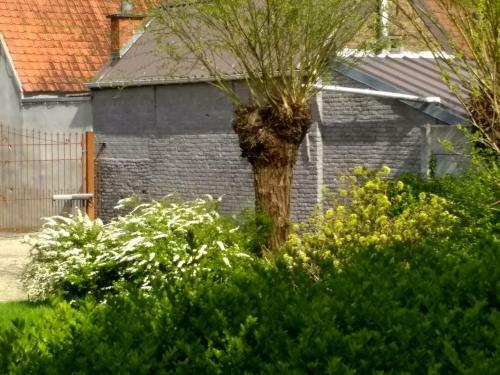 B&B 't Huys Van Enaeme