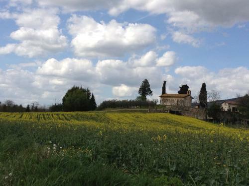 Gli Ulivi D'argento