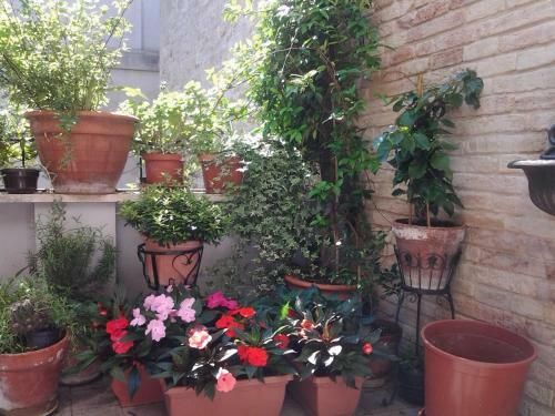 Bed & Breakfast Il Covo Dei Piccioni
