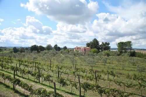 Agroturismo Agriturismo Il Marrugio