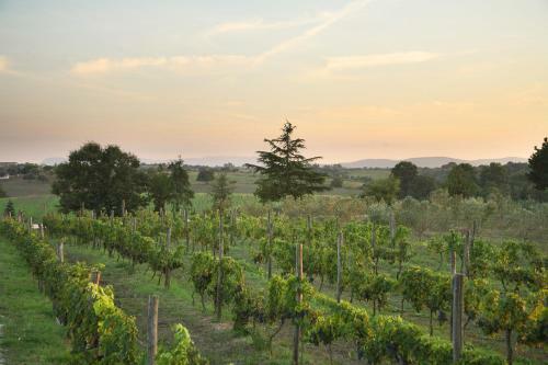 Agroturismo Agriturismo Il Marrugio