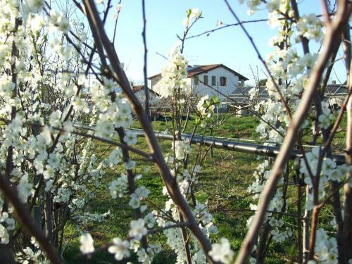 Agroturismo Agriturismo Il Marrugio