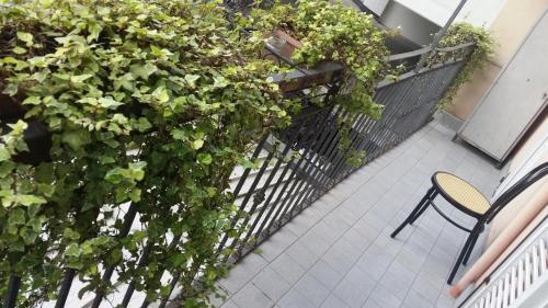 Hotel Chopin