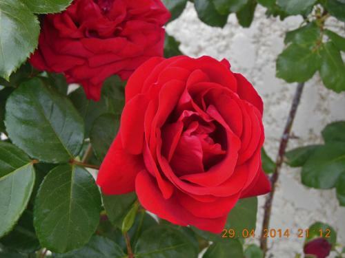 Bed & Breakfast Chambre D'h�tes La Bichette