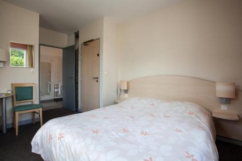Hotel Logis Lion D'or