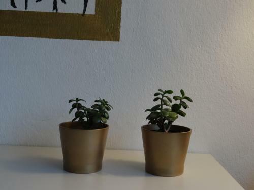Hostel Stralsund
