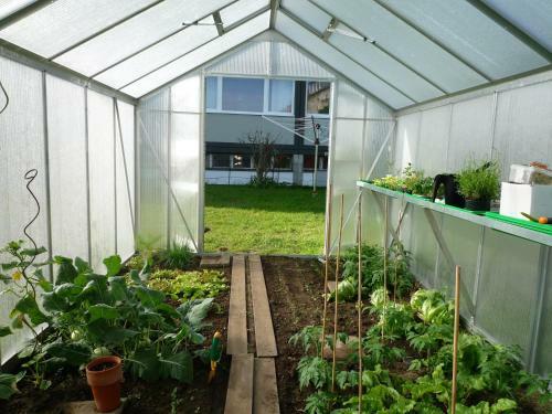 Hostel Stralsund