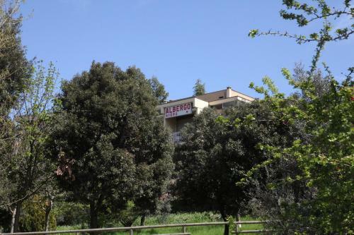 Hotel Albergo Nyers
