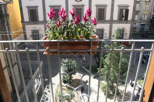 Apartment 25