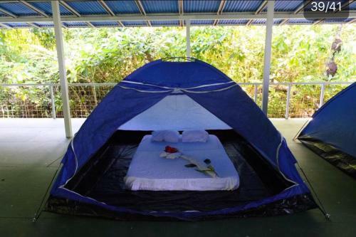 Corcovado Adventures Tent Camp