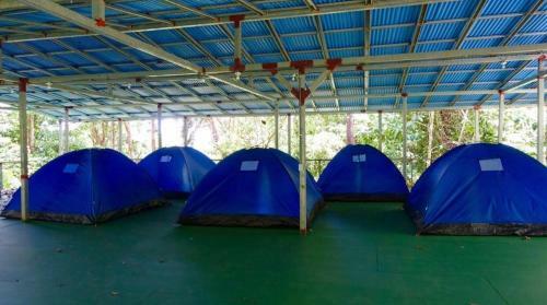 Corcovado Adventures Tent Camp