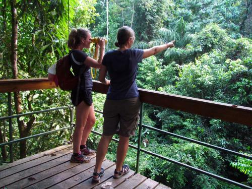 Corcovado Adventures Tent Camp