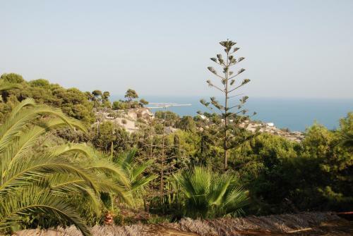 Bed & Breakfast Villa Sorriso