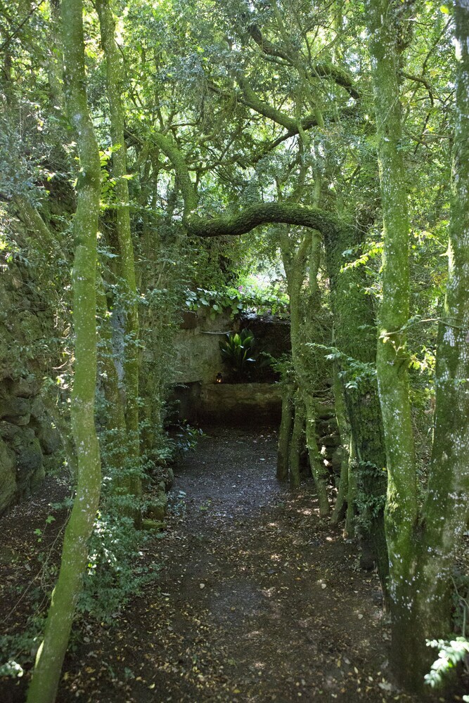 Agroturismo Mas Pratsevall