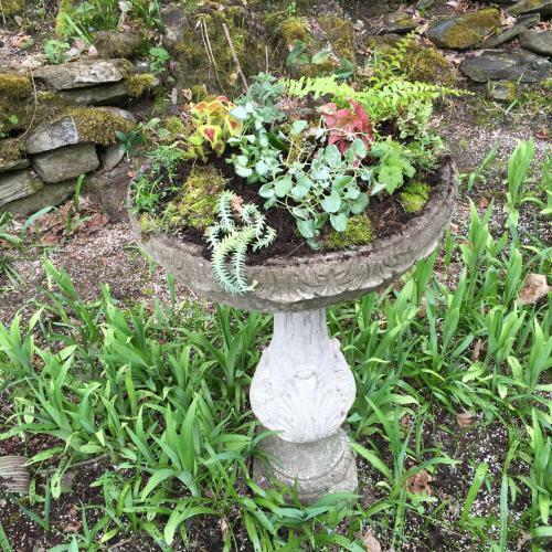 Bed & Breakfast Hobble Inn