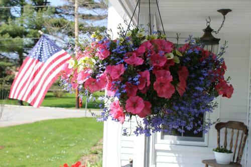 Bed & Breakfast Hobble Inn