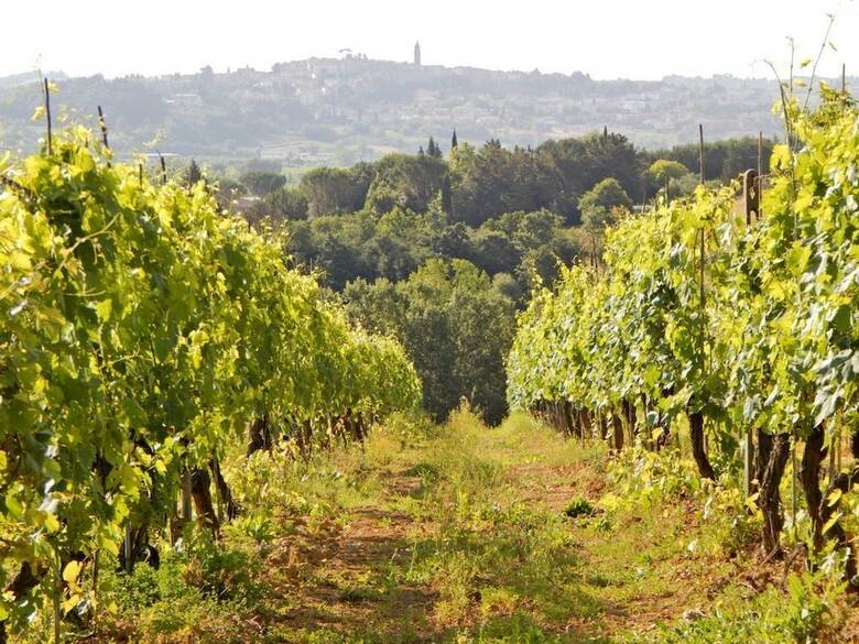 Agroturismo Agriturismo Santo Pietro