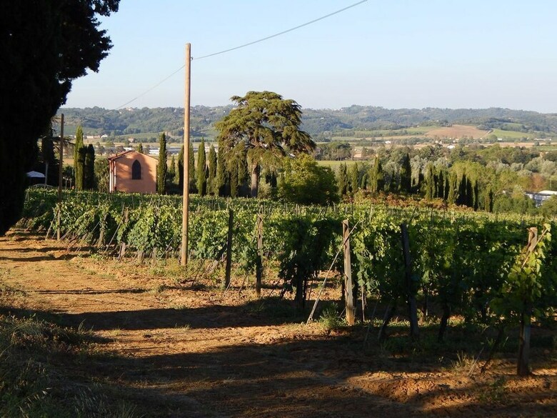 Agroturismo Agriturismo Santo Pietro