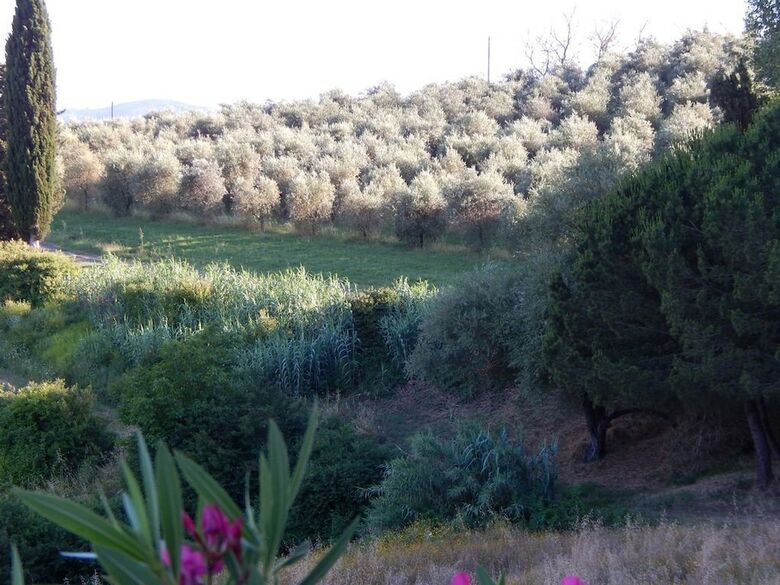 Agroturismo Agriturismo Santo Pietro
