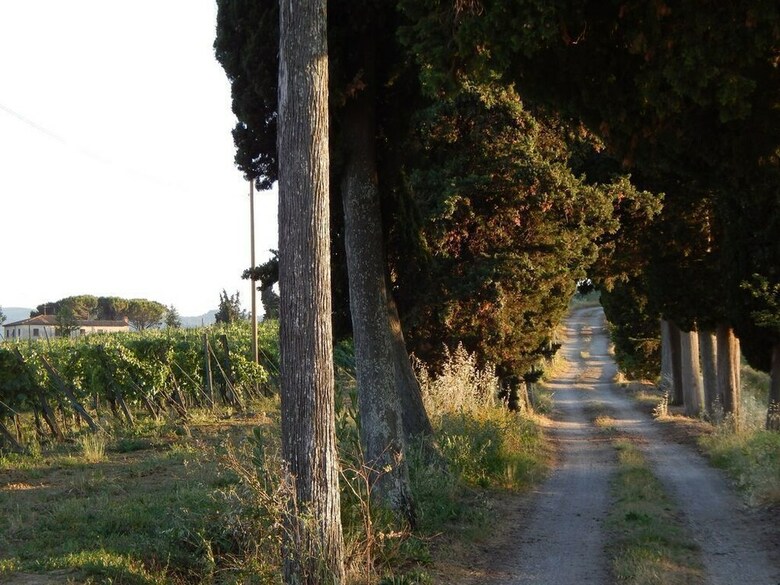 Agroturismo Agriturismo Santo Pietro