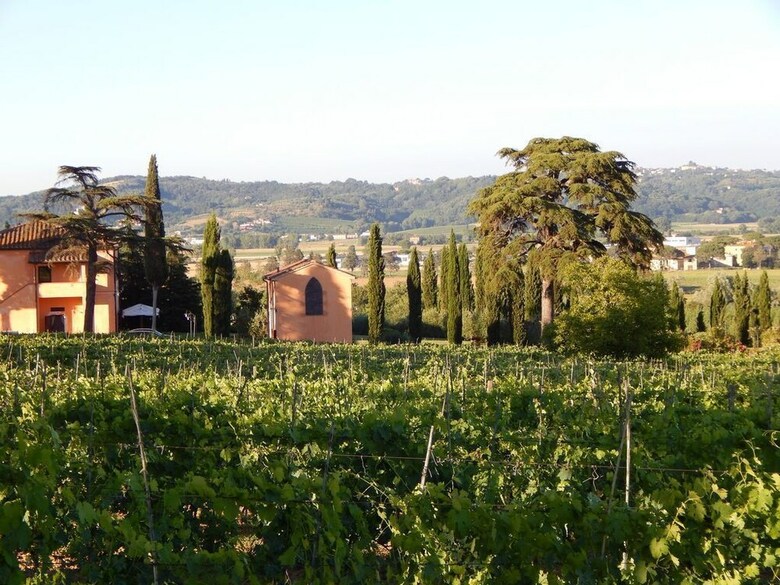 Agroturismo Agriturismo Santo Pietro