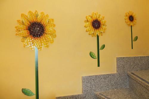 Hostal Piccola Perla Guest House