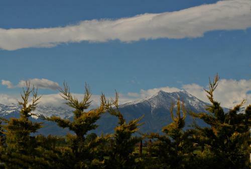 B&B L'artista