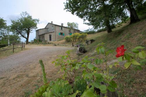 Agroturismo Ca' Scheta