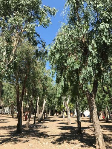 Camping Baia Unci