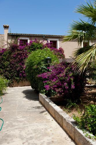 Agroturismo Can Patro