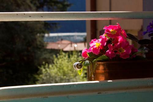 Hotel Trattoria Albergo La Vignetta