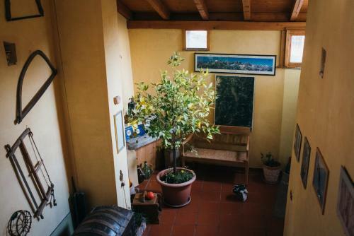 B&B Pedelmont