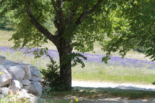 Hostal Maison D'h�tes La Honas