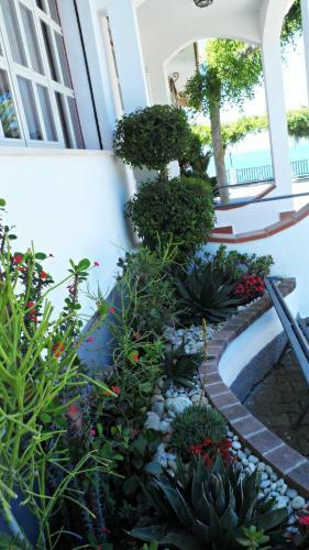 Hostal Affittacamere San Carlo