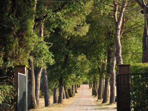 Holiday Home De Angelis Sant'enea