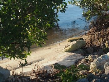 The Caribbean Court Boutique Hotel