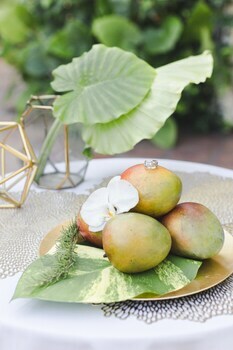 The Caribbean Court Boutique Hotel