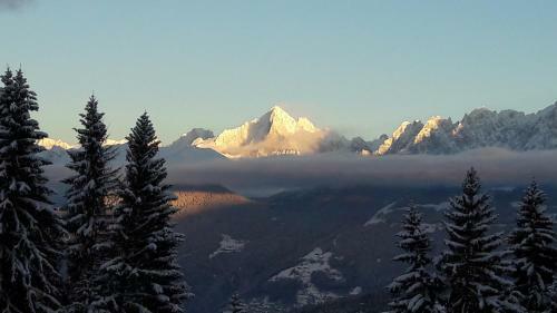 Hotel Alp-h�tel