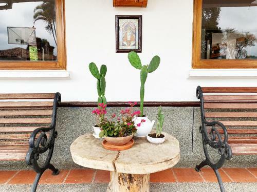 Finca Hotel Santana