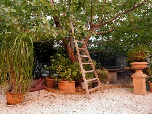 Bed & Breakfast Jardin Vieux Port Panier