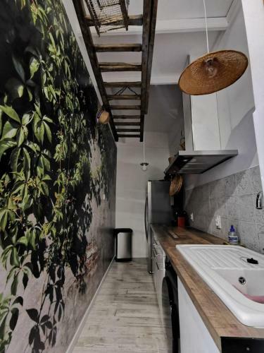 Bed & Breakfast Jardin Vieux Port Panier