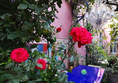 Bed & Breakfast Jardin Vieux Port Panier