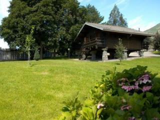 Hotel Village