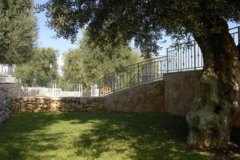 Park Hotel Sant'elia
