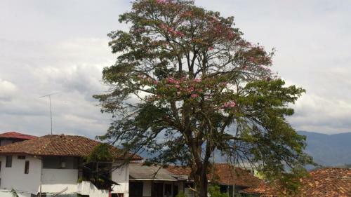 Hostal Hospedaje La Casona